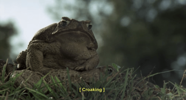 (Screen capture by Lindsey for TMP)