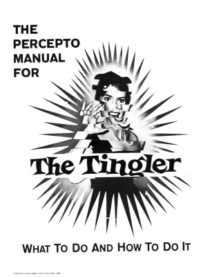 Guide for the installation of "Percepto" (Image: My Little Underground Blog)