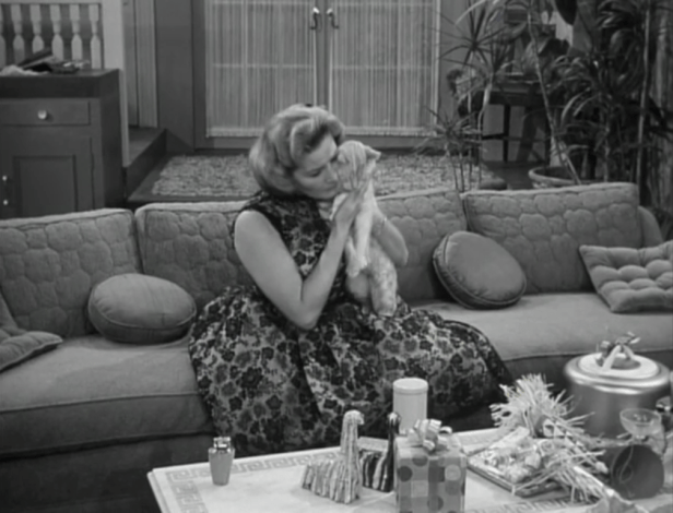 Let's take a moment to appreciate Sally's amazing party dress (and adorable cat)! (Screen capture by Lindsey for TMP)