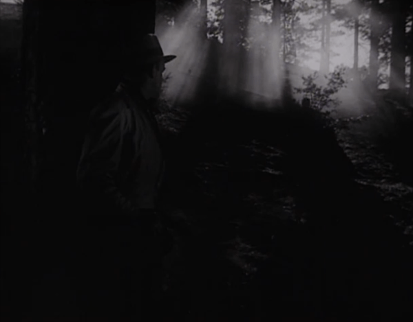 (Screen capture by Lindsey for TMP)