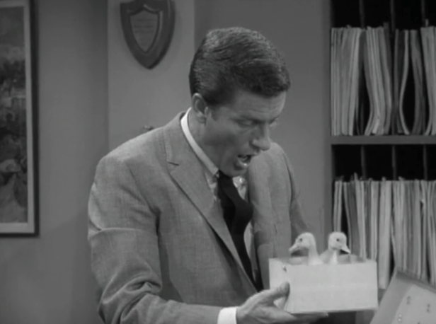 "BABY DUCKS!" (Screen capture by Lindsey for TMP)