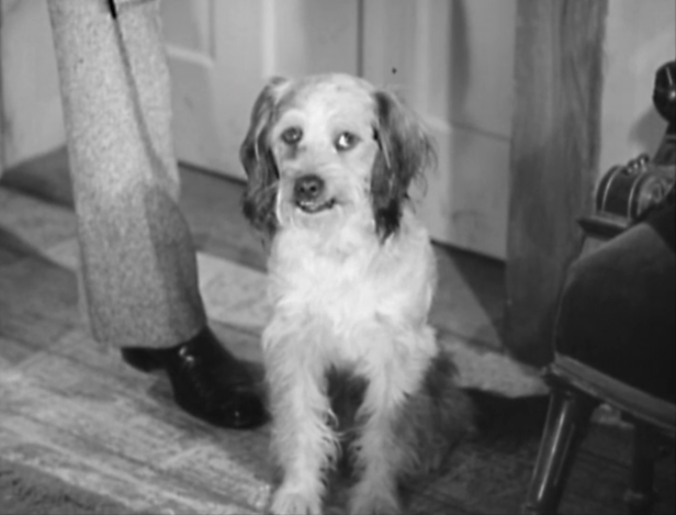 (Screen capture by Lindsey for TMP)