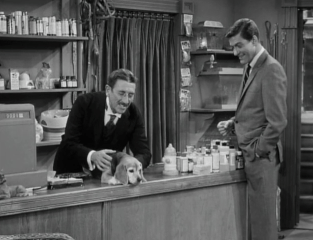 CUTE PUPPY BONUS! Edwin owns a pet shop! (Screen capture by Lindsey for TMP)