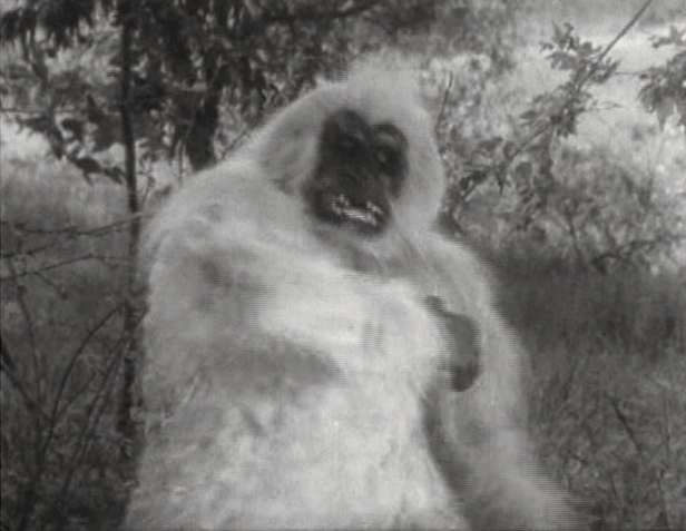 (Screen capture by Lindsey for TMP)