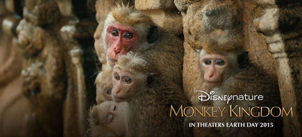 (Image via Planeta Disney)