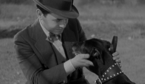 (Image via pre-code.com)