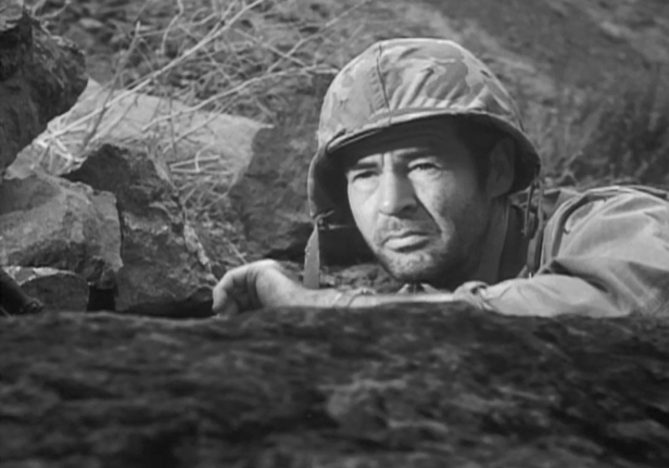 (Screen capture by Lindsey for TMP)